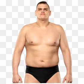 Wrestler Walter Png, Transparent Png - bobby lashley png