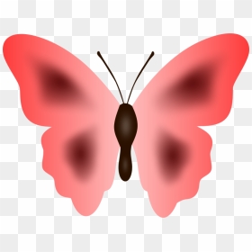 Butterfly 33 - Big Colour Butterfly Png, Transparent Png - butterfly wing png