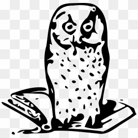Owl On Book Clip Arts - Sowa Mądrość, HD Png Download - white owl png