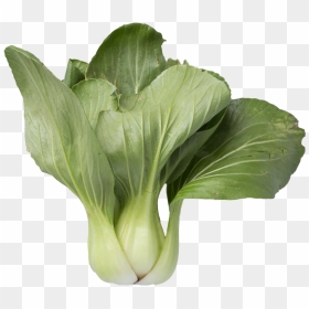 Bok Choy Png Free Image - Bok Choy, Transparent Png - vegetable plant png