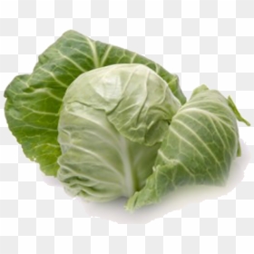 Cabbage Png - Cabbage Definition, Transparent Png - collard greens png