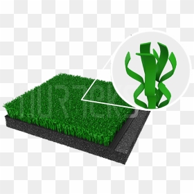 Lawn, HD Png Download - golf grass png
