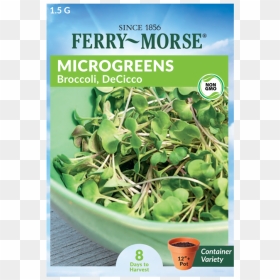 Broccoli Decicco Microgreen Seed - Ferry Morse Microgreen Seed Packet, HD Png Download - vegetable plant png