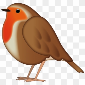 Cartoon Bird Robin, HD Png Download - robin bird png