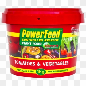 Vegetable Plant Png, Transparent Png - vegetable plant png