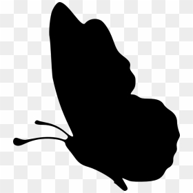 Transparent Background Butterfly Silhouette Png, Png Download - butterfly wing png
