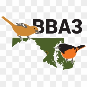 Maryland Vector, HD Png Download - robin bird png
