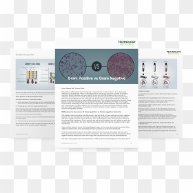 Screenshot, HD Png Download - smear png