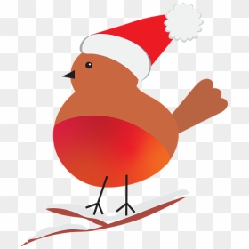 Robin Bird Png, Transparent Png - robin bird png
