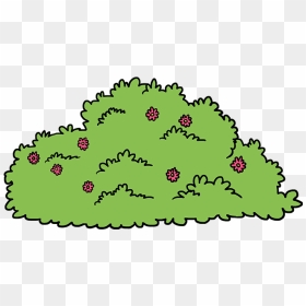 How To Draw Bush - Drawing Of A Bush, HD Png Download - shrubbery png