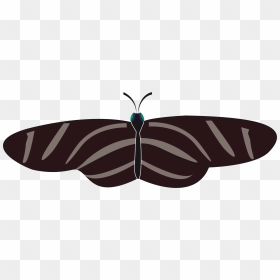 Butterfly Zebra Long Wing Clip Arts - Mariposa Cebra Heliconius Charithonia, HD Png Download - butterfly wing png