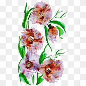 Lily Family, HD Png Download - gladiolus png