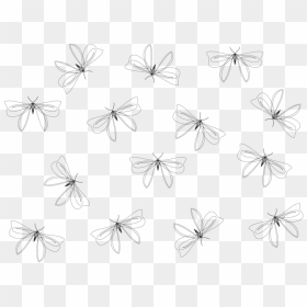 Riodinidae, HD Png Download - butterfly wing png