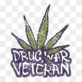 Sealed Graffiti - Drug War Veteran Png, Transparent Png - grafitti png