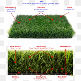Premium Blade Grass-lush Synthetic Grass - Lush Dark Green Grass, HD Png Download - blade of grass png