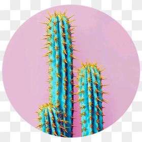 #pink #blue #cactus #cato #azul #rosa #glitch #verde - Neon Cactus, HD Png Download - cactus png tumblr