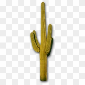 Cactus, Mountains The Distance Steve Lovelace - Transparent Saguaro Cactus, HD Png Download - cactus png tumblr
