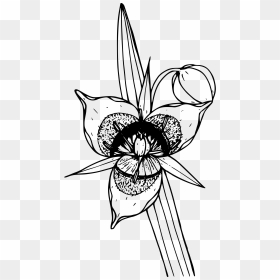 Cat"s Ear Lily Clip Arts - Clip Art, HD Png Download - ear icon png