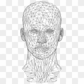 Wire Frame Human Head - North Cape, HD Png Download - human head png