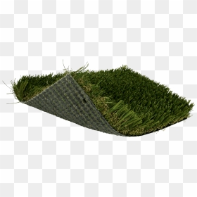 Lawn, HD Png Download - blade of grass png