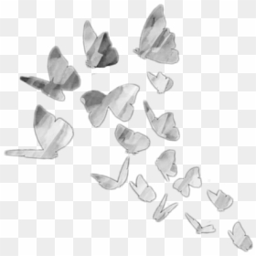 #butterfly #sketch #animals #aesthetic #tumblr #white - Aesthetic Butterfly Drawing Ideas, HD Png Download - white butterfly png