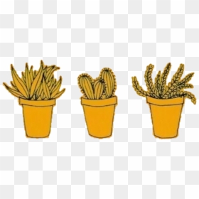#yellow #amarillo #freetoedit #cactus #tumblr #random - Flowerpot, HD Png Download - cactus png tumblr