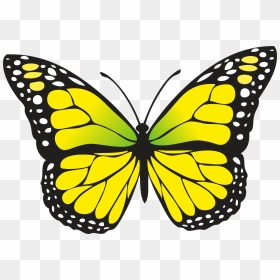 Yellow Butterfly Clipart, HD Png Download - insects png