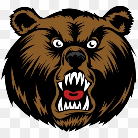 Evil, Angry Bear - Angry Bear Cartoon, HD Png Download - angry bear png
