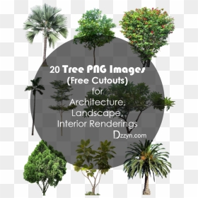 Transparent Landscaping Clipart Tree, HD Png Download - tree cutout png