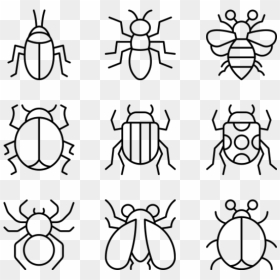 Clip Art, HD Png Download - insects png