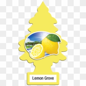 Lemon Grove Cutout - Little Trees True North, HD Png Download - tree cutout png