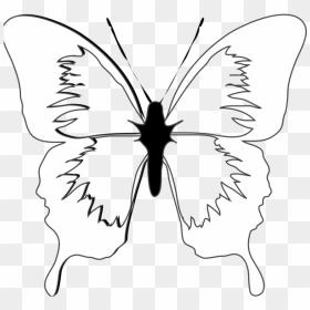 Blue Butterfly Png Icons - Epidermolysis Bullosa Awareness Symbol, Transparent Png - white butterfly png