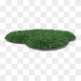 Lawn, HD Png Download - blade of grass png