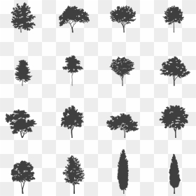 I - Tree Dwg, HD Png Download - tree cutout png