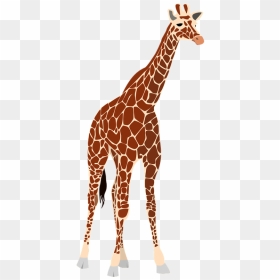 Free Png Giraffe Png Images Transparent - Realistic Giraffe Clip Art, Png Download - giraffe clipart png