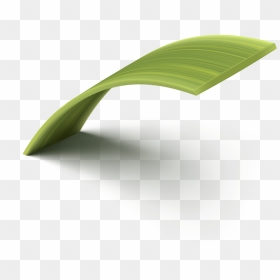 Leek, HD Png Download - blades of grass png