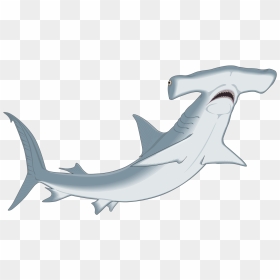 Hammerhead Shark Clipart Clip Art - Clip Art Hammerhead Shark, HD Png Download - cartoon shark png