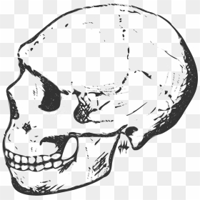 Skull Head Human Free Photo - Black And White Skull, HD Png Download - bone pile png