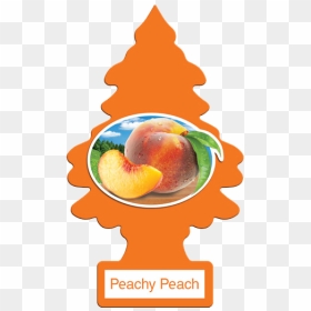 Peachy Peach Cutout - Peachy Peach, HD Png Download - tree cutout png