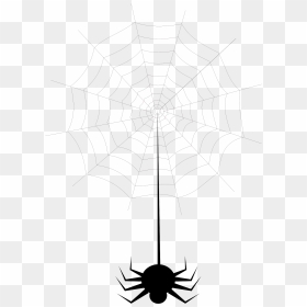 Spider Web, HD Png Download - lace .png