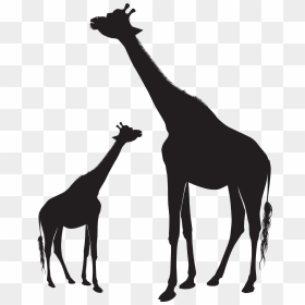 Giraffe Silhouette Animal Mammal Horse, HD Png Download - giraffe clipart png