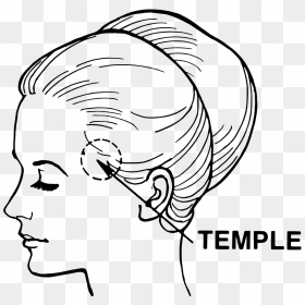 Temple In The Human Body, HD Png Download - human head png