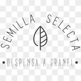 Semilla Selecta - Calligraphy, HD Png Download - cuadricula png