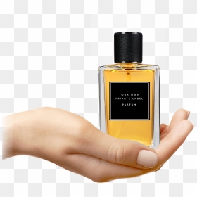 Custom Perfume Creation - Hand Holding Jar, HD Png Download - perfumes png