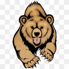 Lime Street Elementary School Home Of The Bears - Grizzly Bear Drawing, HD Png Download - angry bear png