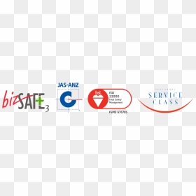 Workplace Safety And Health In Singapore, HD Png Download - lace .png