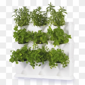 Minigarden Vertical, HD Png Download - vegetable garden png