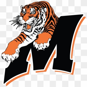 Marshfield Tigers Logo , Png Download - Marshfield High School Logo, Transparent Png - tigers logo png