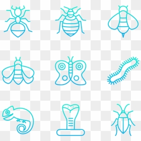 Clip Art, HD Png Download - insects png