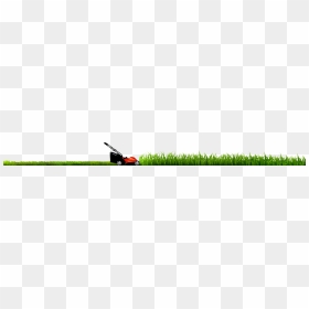 Lawn, HD Png Download - blades of grass png